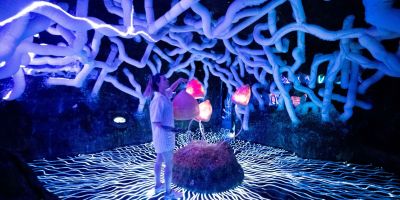 Wake the Tiger (Immersive Experience, Bristol)